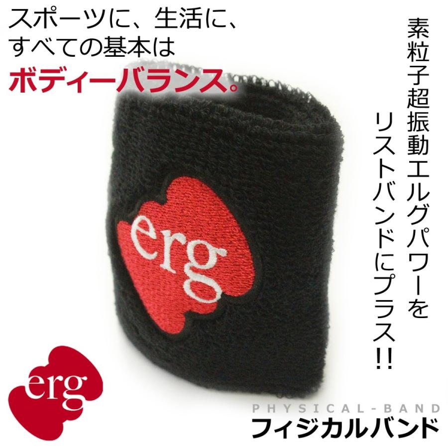 エルグ フィジカルバンド ブラック バランス 体幹 器具 ゴルフ サッカー テニス スポーツ全般 Epb002 エルグ オンライン 通販 Yahoo ショッピング