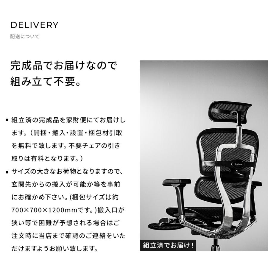 エルゴヒューマン ( 新基盤 ) プロ2 ハイタイプ ergohuman pro2 エルゴヒューマン ( 新基盤 ) プロ2 ハイタイプ ergohuman pro2