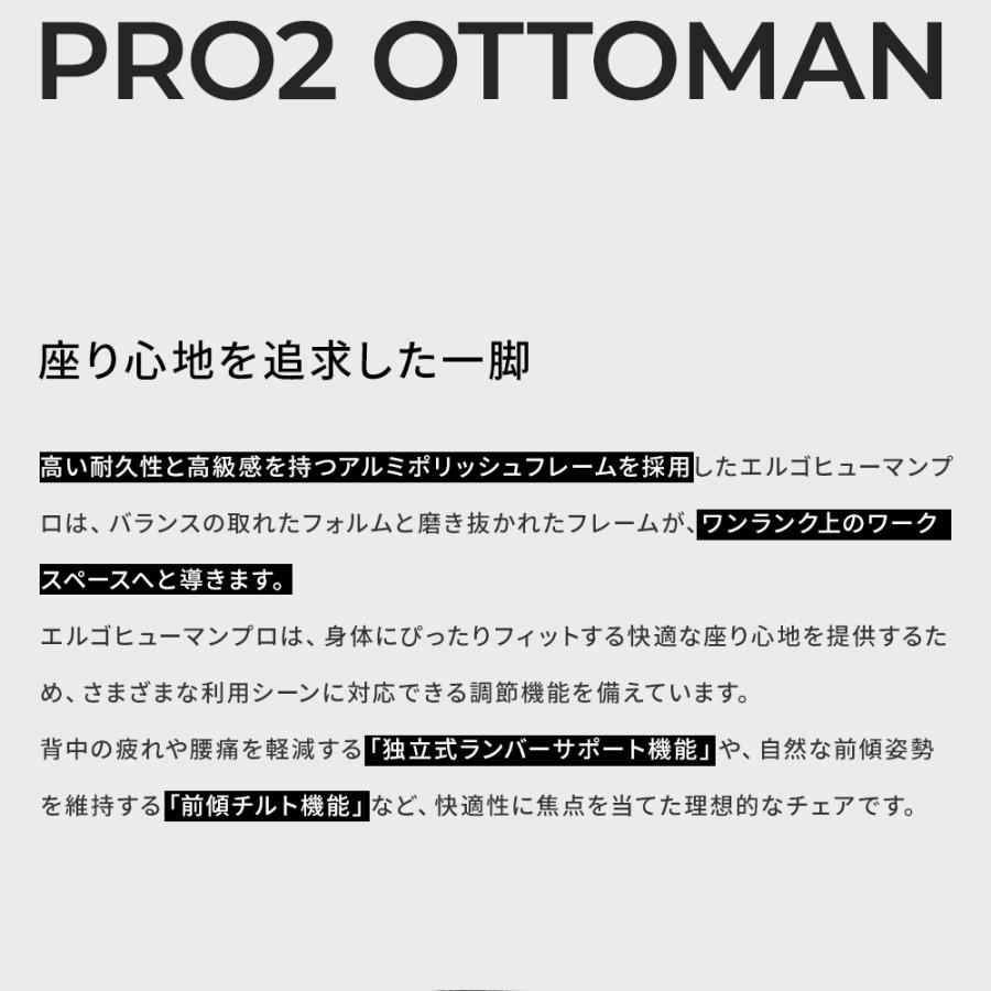 ( 新基盤 ) エルゴヒューマン プロ2 ハイタイプ ( ergohuman pro2 high type ) / ヘッドレスト付 EHP2-HAM / EGP2 【完成品】 | エルゴヒューマン | 05