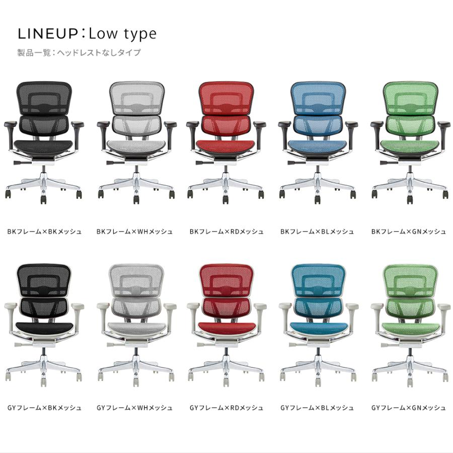 エルゴヒューマン プロ2 ロータイプ ( ergohuman pro2 low type ) / ヘッドレスト無 EHP2-LAM / EGP2 【完成品】 | エルゴヒューマン | 17
