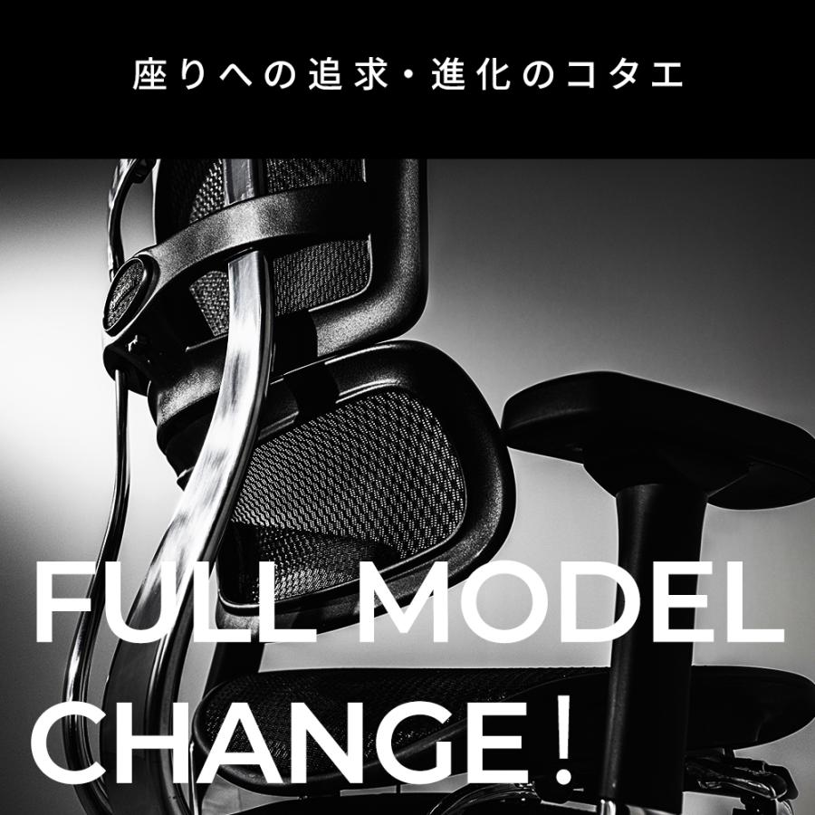 エルゴヒューマン プロ2 ロータイプ ( ergohuman pro2 low type ) / ヘッドレスト無 EHP2-LAM / EGP2 【完成品】 | エルゴヒューマン | 03