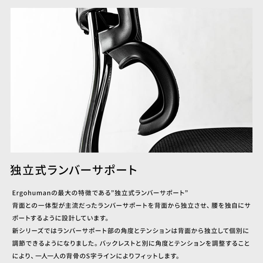 エルゴヒューマン プロ2 ロータイプ ( ergohuman pro2 low type ) / ヘッドレスト無 EHP2-LAM / EGP2 【完成品】 | エルゴヒューマン | 07