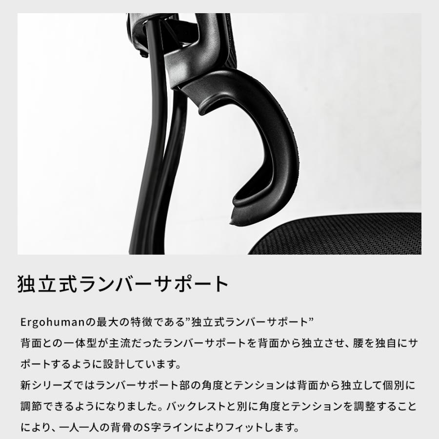 エルゴヒューマン（Ergohuman） プロ2 オットマン ブラック