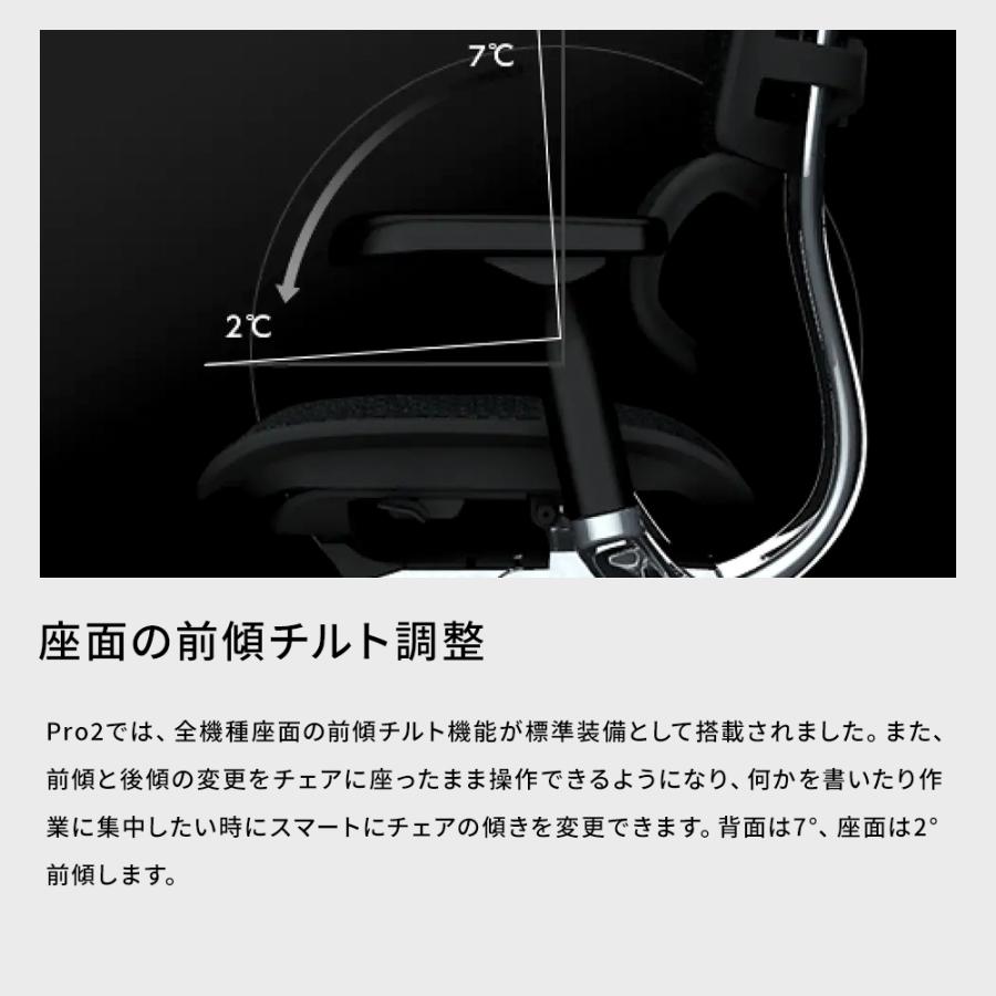 エルゴヒューマン プロ2 オットマン内蔵型 Ergohuman Pro2 ラチェット式オットマン /EGP2 【完成品】 | エルゴヒューマン | 09