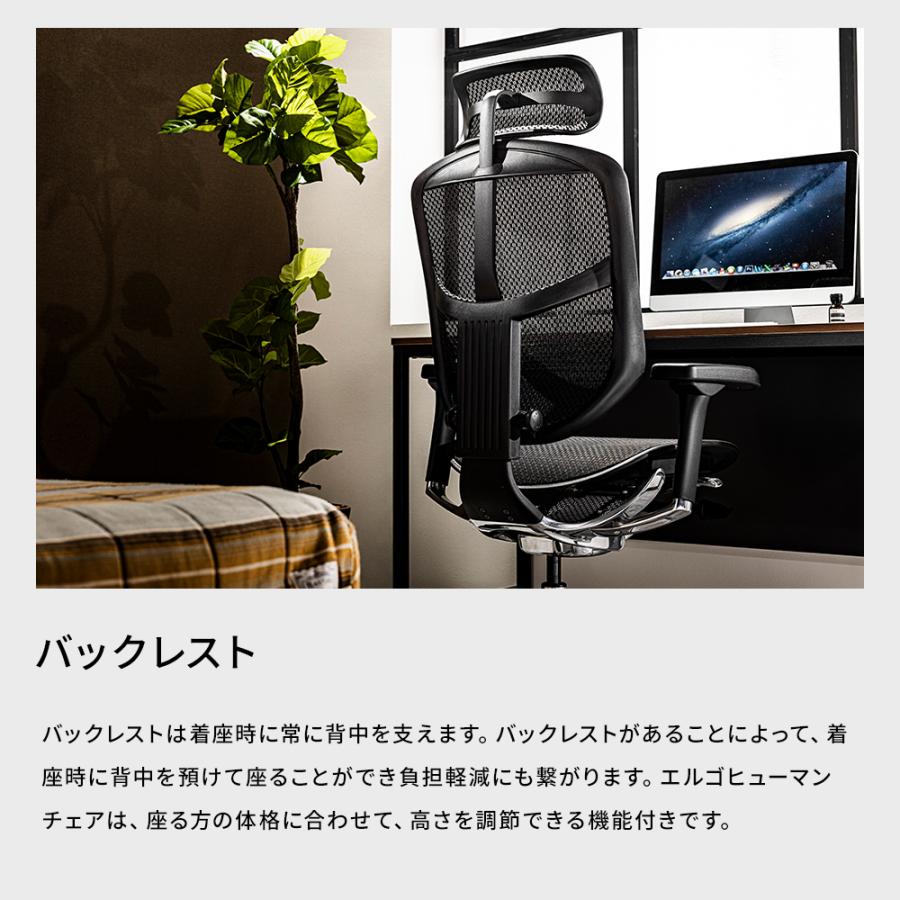エルゴヒューマン エンジョイ2 ハイタイプ ergohuman enjoy2 High Type / ランバーサポート付 / ヘッドレスト有り 【完成品】 | エルゴヒューマン | 12