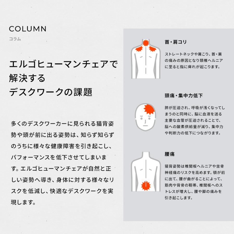 エルゴヒューマン エンジョイ2 ハイタイプ ergohuman enjoy2 High Type / ランバーサポート付 / ヘッドレスト有り 【完成品】 | エルゴヒューマン | 16