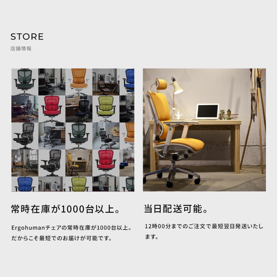 エルゴヒューマン エンジョイ2 ハイタイプ ergohuman enjoy2 High Type / ランバーサポート付 / ヘッドレスト有り 【完成品】 | エルゴヒューマン | 21