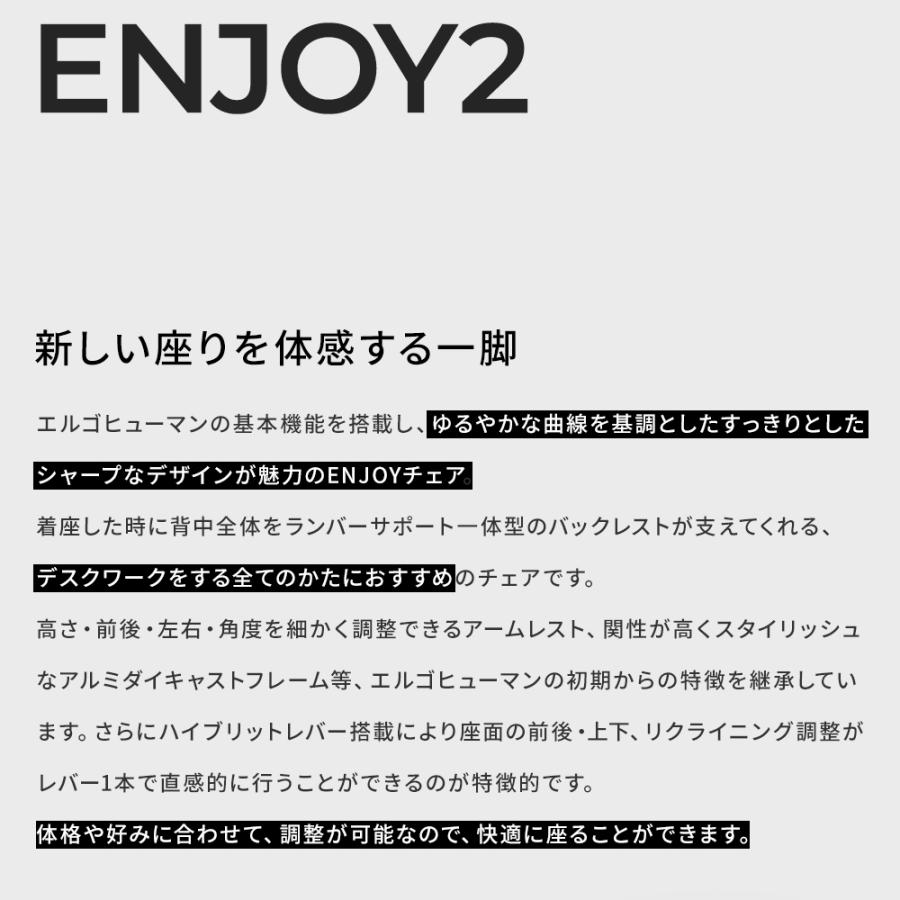 エルゴヒューマン エンジョイ2 ハイタイプ ergohuman enjoy2 High Type / ランバーサポート付 / ヘッドレスト有り 【完成品】 | エルゴヒューマン | 04