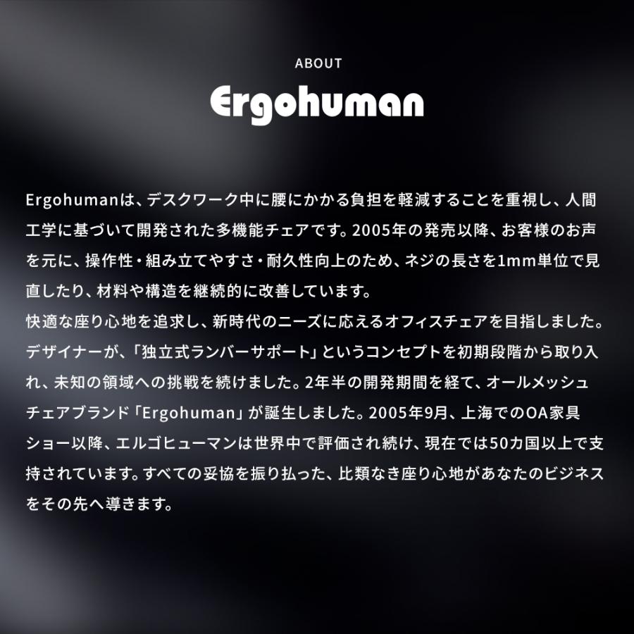 エルゴヒューマン エンジョイ2 ハイタイプ ergohuman enjoy2 High Type / ランバーサポート付 / ヘッドレスト有り 【完成品】 | エルゴヒューマン | 05