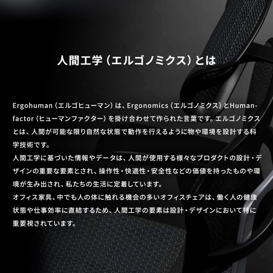 エルゴヒューマン エンジョイ2 ハイタイプ ergohuman enjoy2 High Type / ランバーサポート付 / ヘッドレスト有り 【完成品】 | エルゴヒューマン | 06