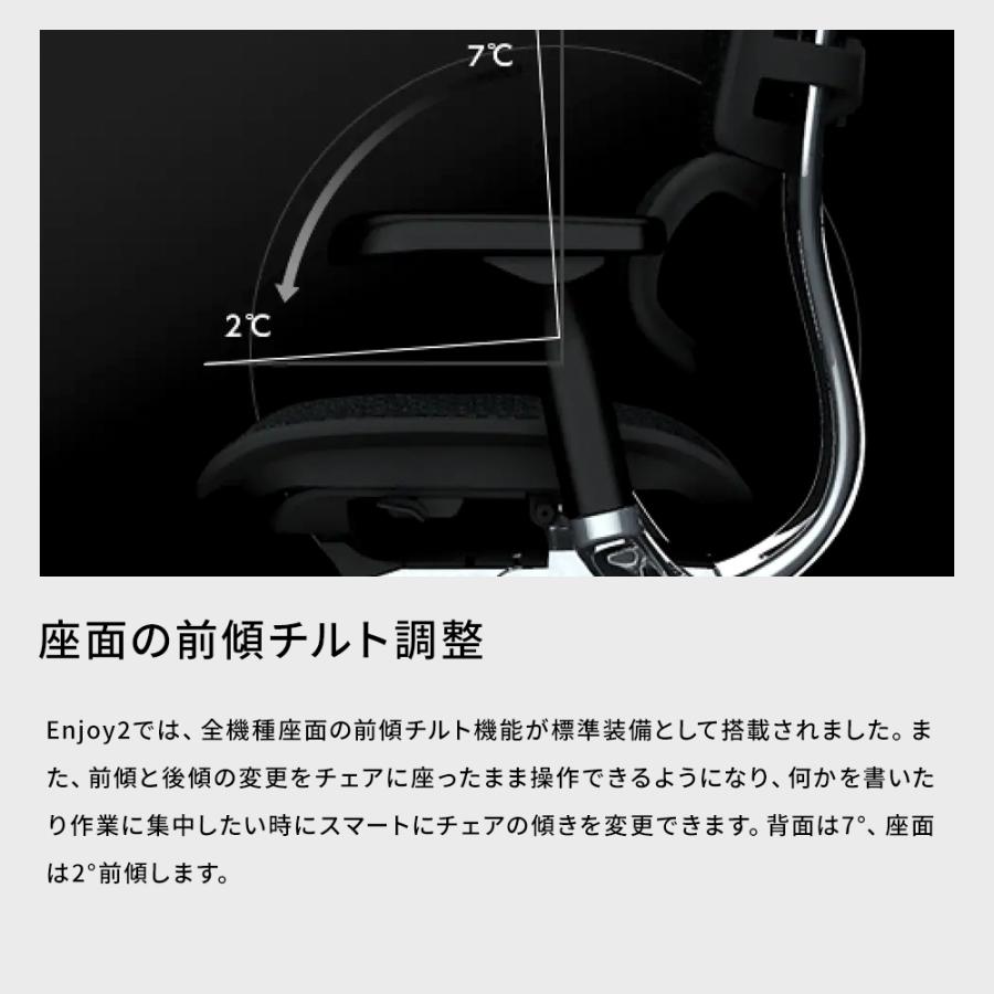 エルゴヒューマン エンジョイ2 ハイタイプ ergohuman enjoy2 High Type / ランバーサポート付 / ヘッドレスト有り 【完成品】 | エルゴヒューマン | 08