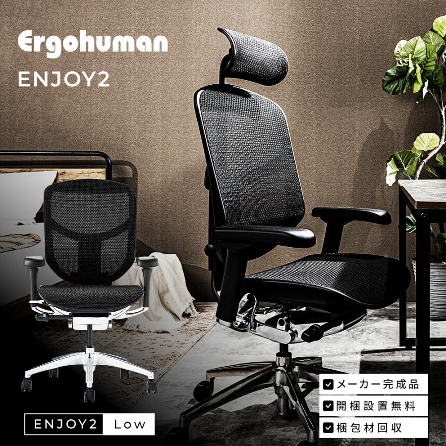 エルゴヒューマン（Ergohuman） パソコンチェア 腰痛対策 エンジョイ2