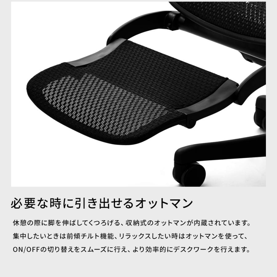 エルゴヒューマン（Ergohuman） フィット2 ライト ( ergohuman FIT2