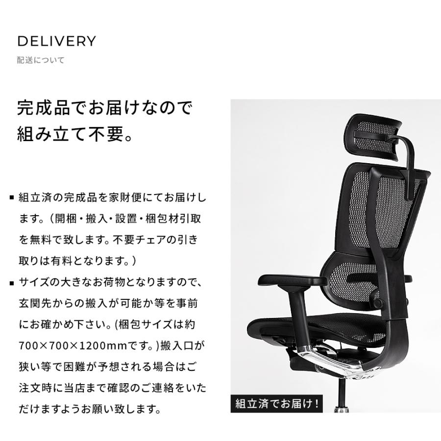 エルゴヒューマン（Ergohuman） フィット2 ライト ( ergohuman FIT2