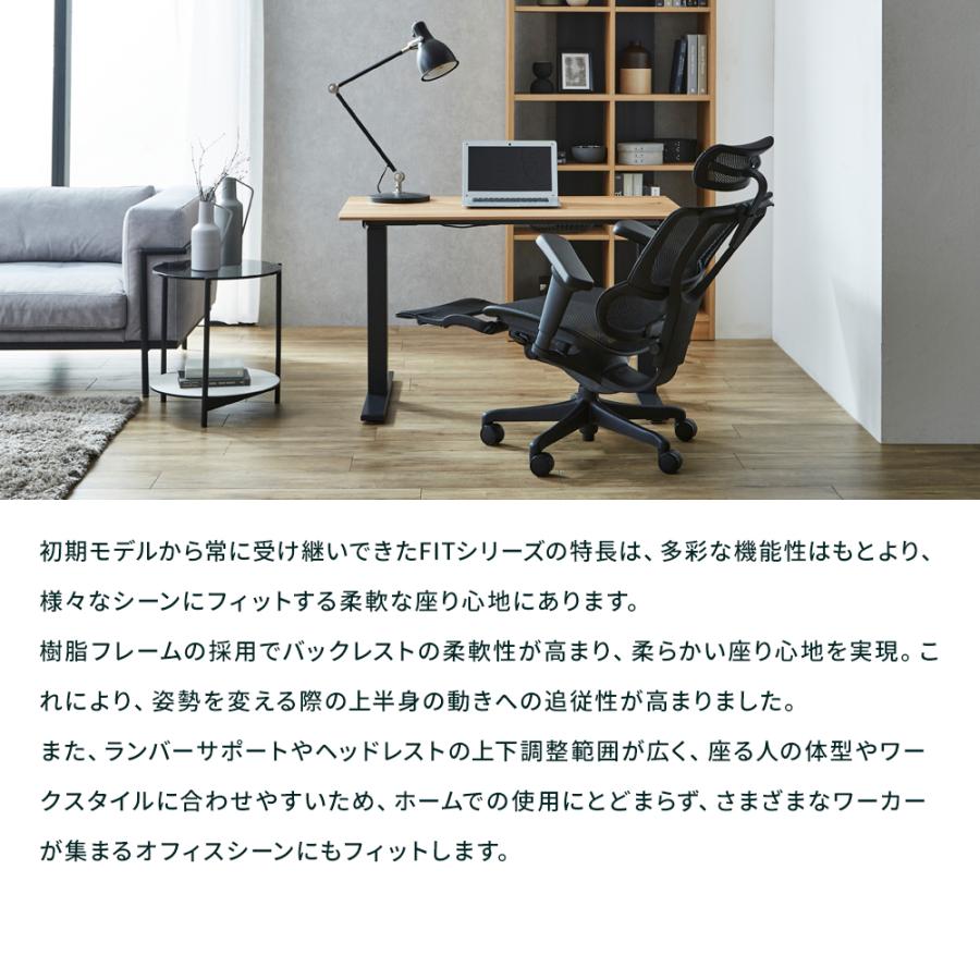 Ergohuman FIT2 テクチャー