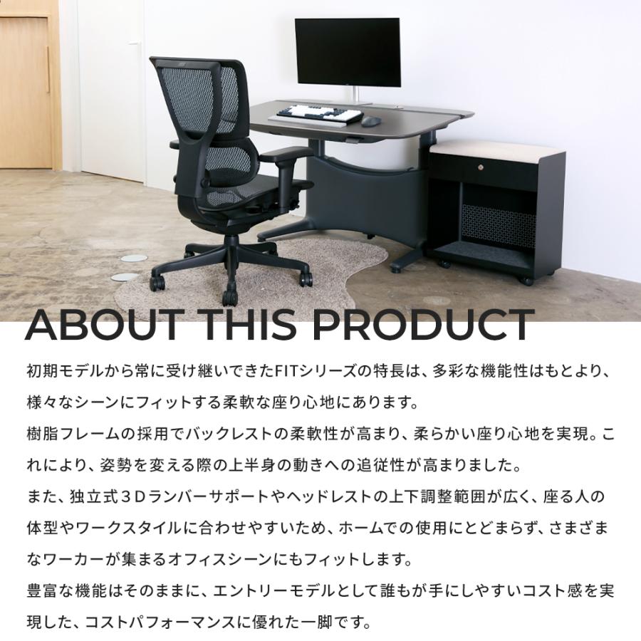 エルゴヒューマン（Ergohuman） フィット2 セレクト ( Ergohuman FIT2