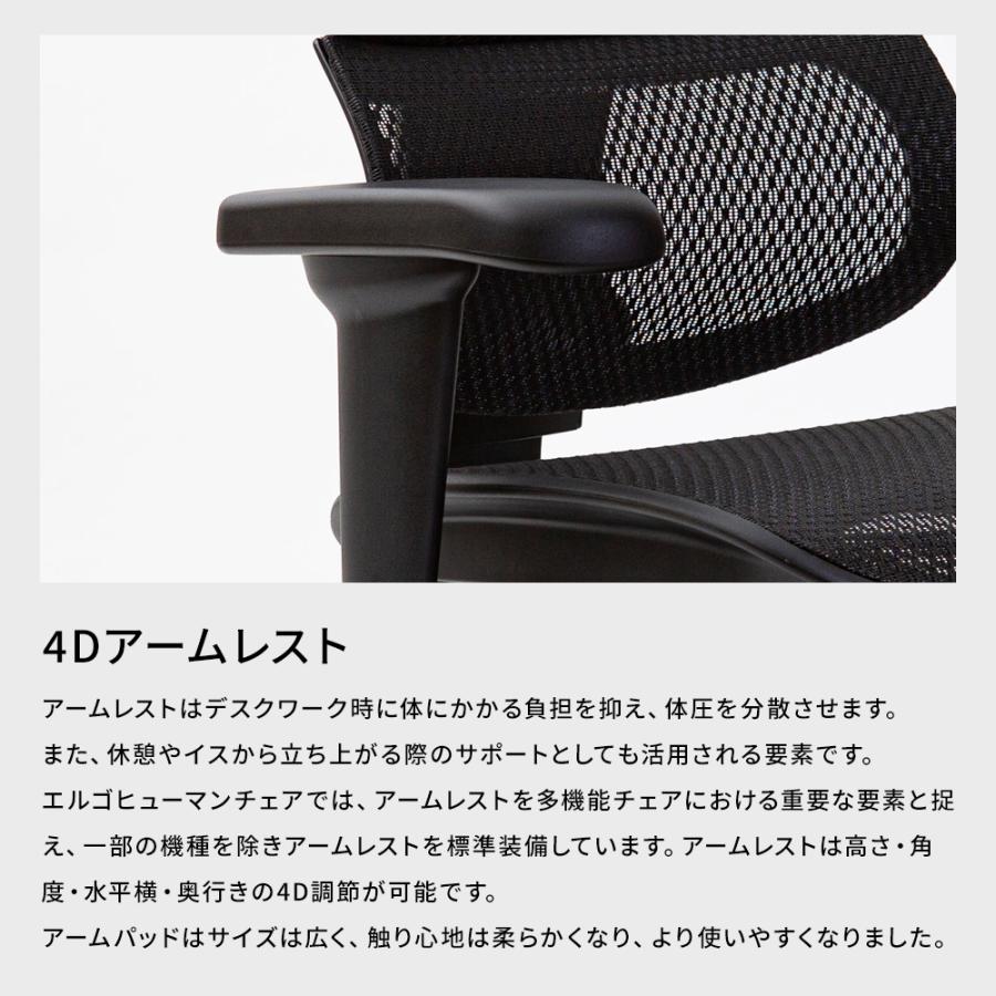 エルゴヒューマン（Ergohuman） フィット2 セレクト ( Ergohuman FIT2