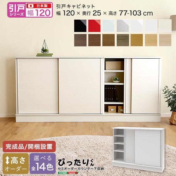 引戸シリーズ セミオーダーカウンター下収納ぴったりくん キャビネット 住宅設備 Erimi セミオーダーカウンター