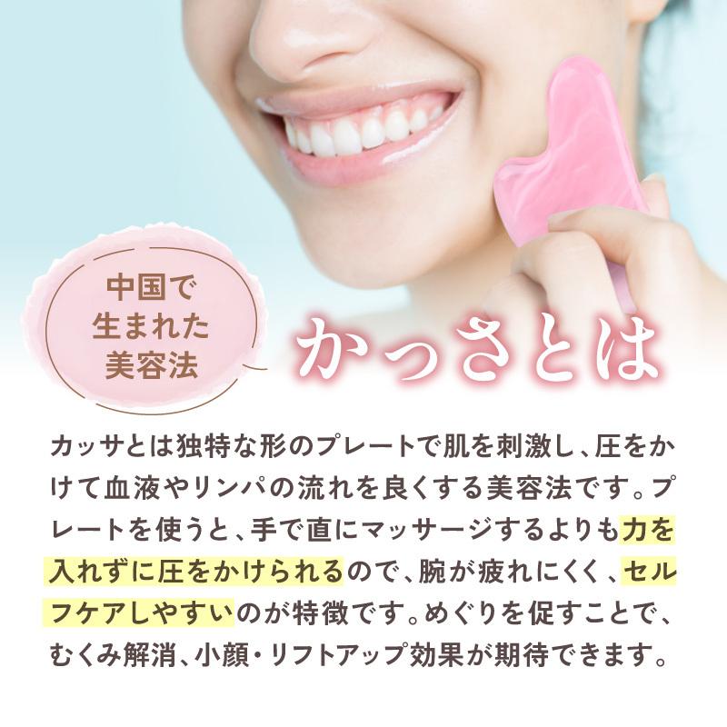 美顔器 カッサ 美顔 たるみケア 頭皮ケア 即 自宅エステ 充電 EMS 簡単 かっさ かっさプレート マッサージ 頭 顔 フェイスケア 美顔 美肌