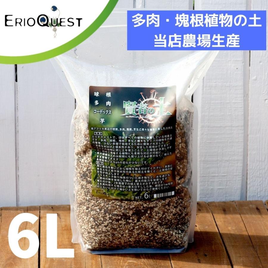 園芸用品 多肉植物 土 培養土 サボテン コーデックス 塊根 アガベ ガガイモ エケベリア 観葉植物 植え替え 賢者の土 Kenjyanotsuchi Erioquest 通販 Yahoo ショッピング