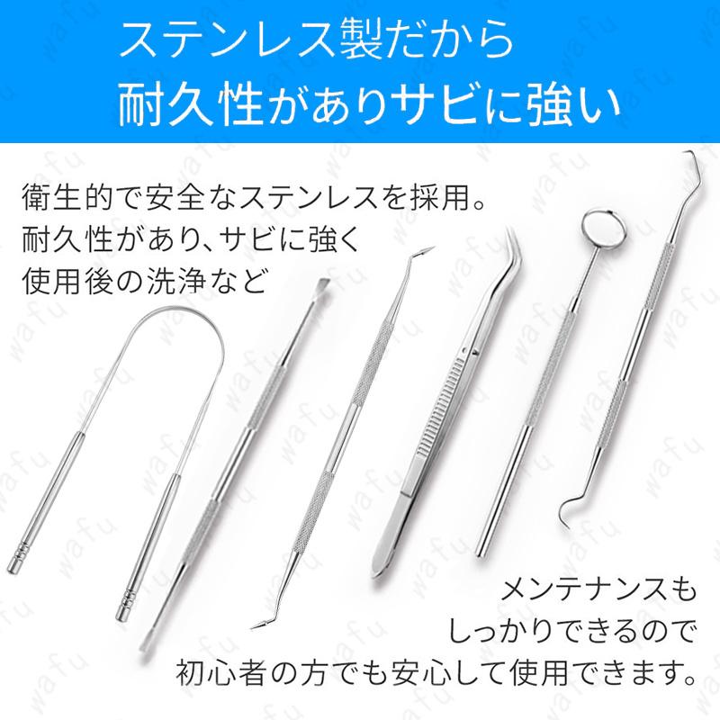 br12#6本セット 歯用ツール 日本国内当日発送 歯石取り器具 デンタル 