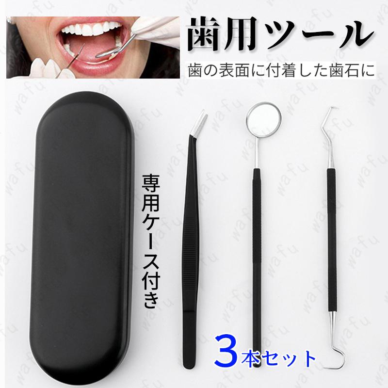 歯石取り器具 日本国内当日発送 3本セット デンタルツール 自宅用 歯間 