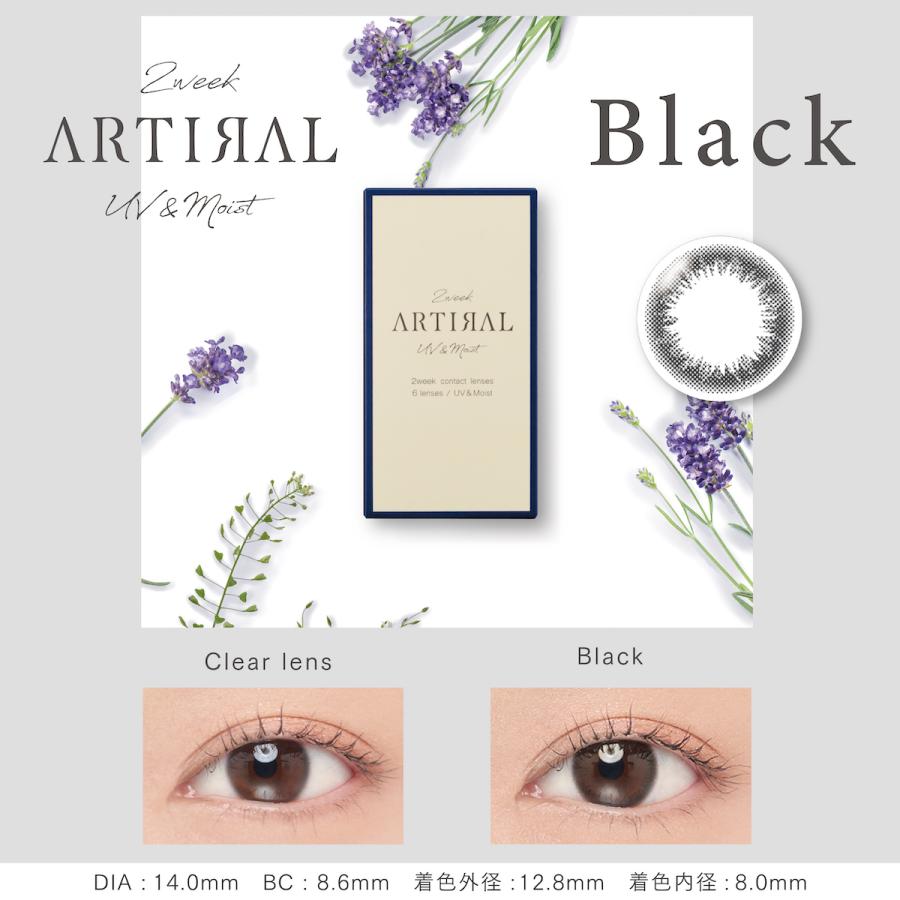 【10％OFFクーポン】 カラコン 2week 度あり 度なし 度付き 【 1箱6枚入 】 アーティラル ARTIRAL UV モイスト 14.0mm 安い 小さめ 裸眼風 バレない 黒コン｜eroeroe｜02