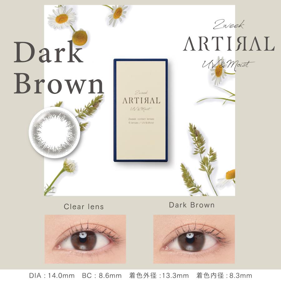 【10％OFFクーポン】 カラコン 2week 度あり 度なし 度付き 【 1箱6枚入 】 アーティラル ARTIRAL UV モイスト 14.0mm 安い 小さめ 裸眼風 バレない 黒コン｜eroeroe｜05