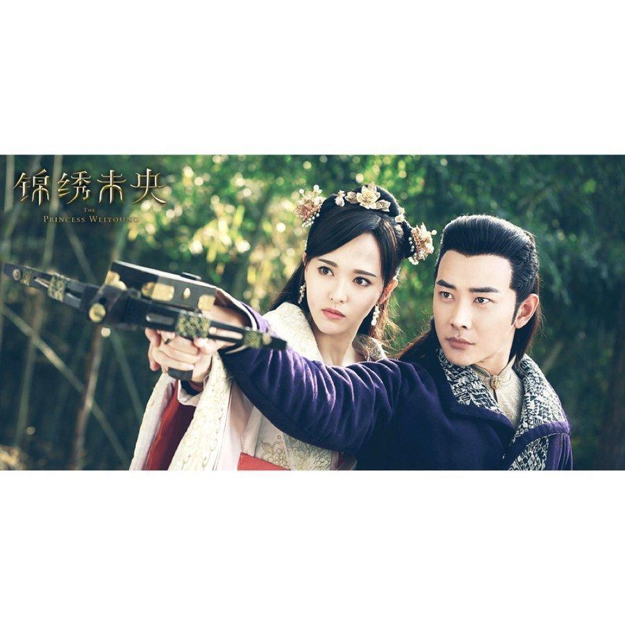 中国ドラマ「王女未央」中国版DVDルオジン主演！ 王女未央