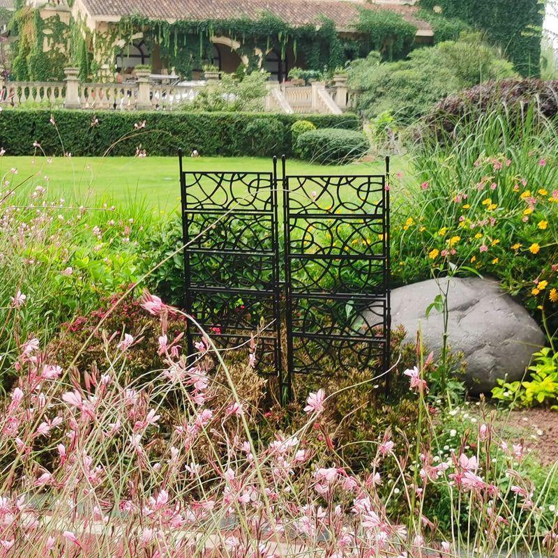 Outourバラのつる つる植物 成長をサポートするクレマチス 野菜 花 きゅうり