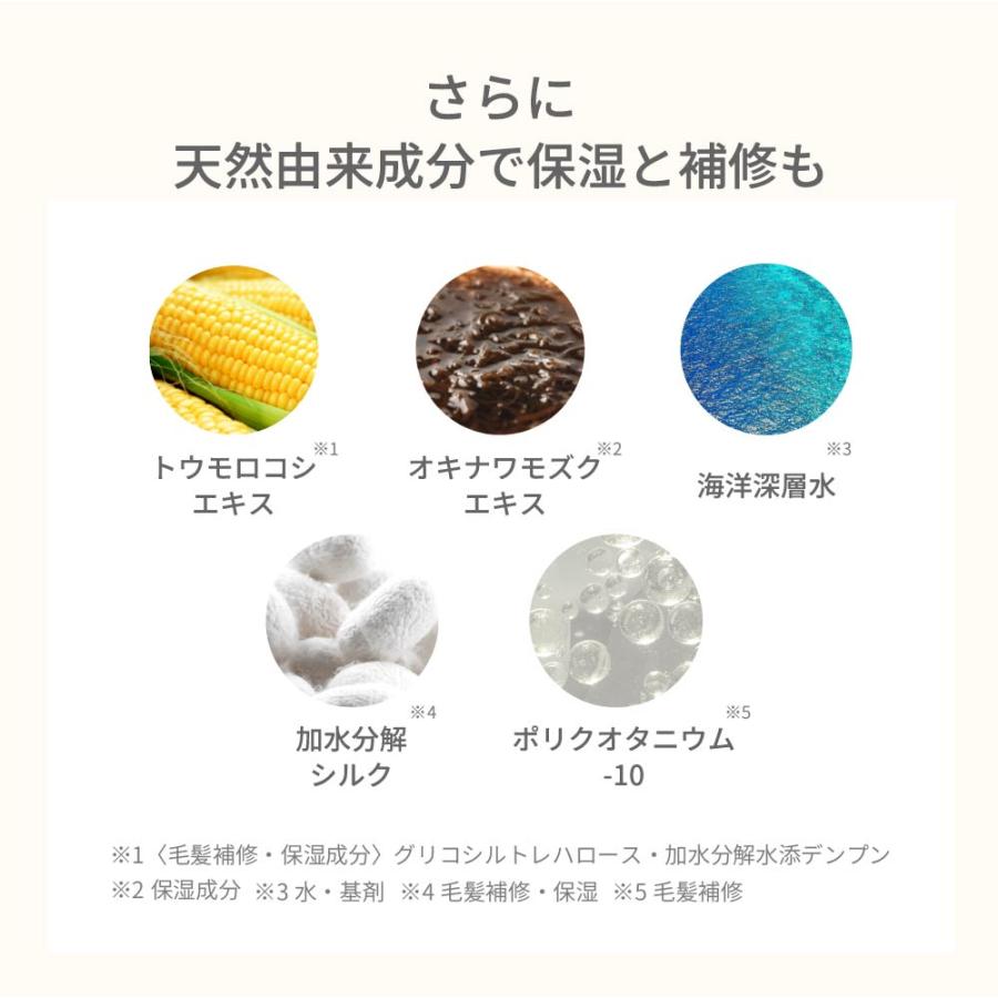 爆買い ラフィーシャンプー＆トリートメントセット各1,000ml ラフィー