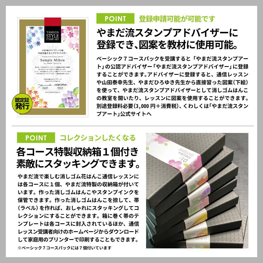 驚きの値段 やまだ流で楽しむ消しゴム花はんこ通信レッスン ベーシック7コースパック 超大特価 Www Thedailyspud Com