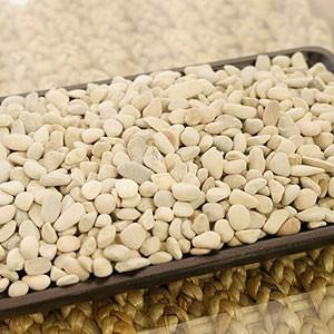 ナチュラルストーン ティモール ミックス Ss 約400ｇ 化粧石 観葉植物 飾り石 化粧砂利 マルチング ガーデニング アジアン バリ テラリウム Es Pb1812 02 アジアンインテリア Es Style 通販 Yahoo ショッピング