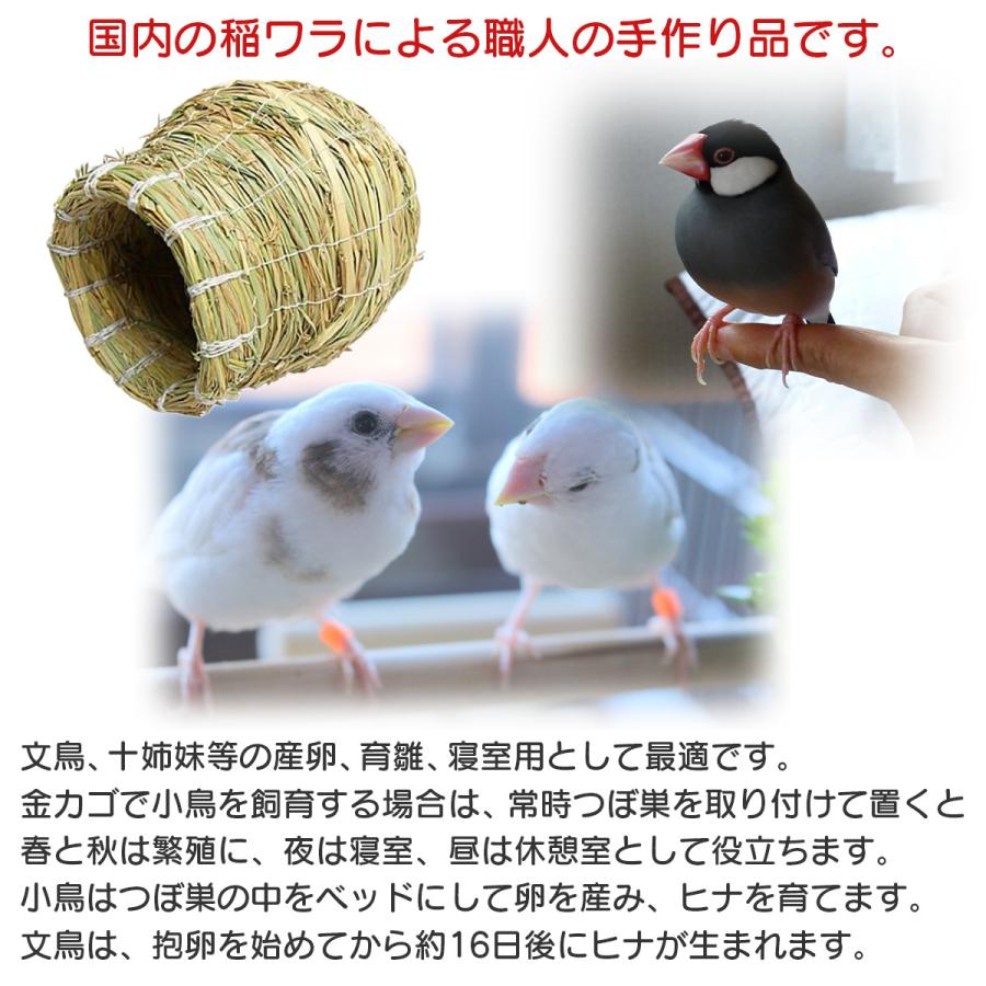国産 ツボ巣 (大) コバヤシ K-91 文鳥 十姉妹 インコ 小鳥 稲わら 国内