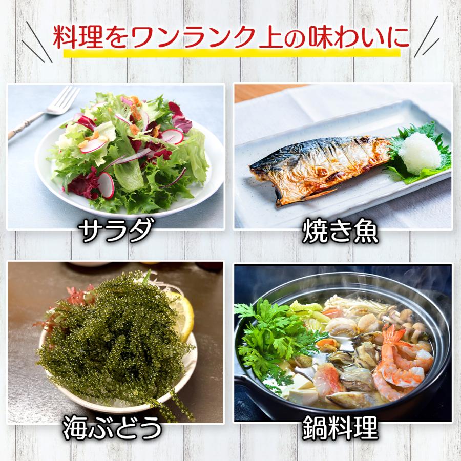 シークヮーサーぽんず 1000ml 業務用 シークワーサーぽんず ざまみ
