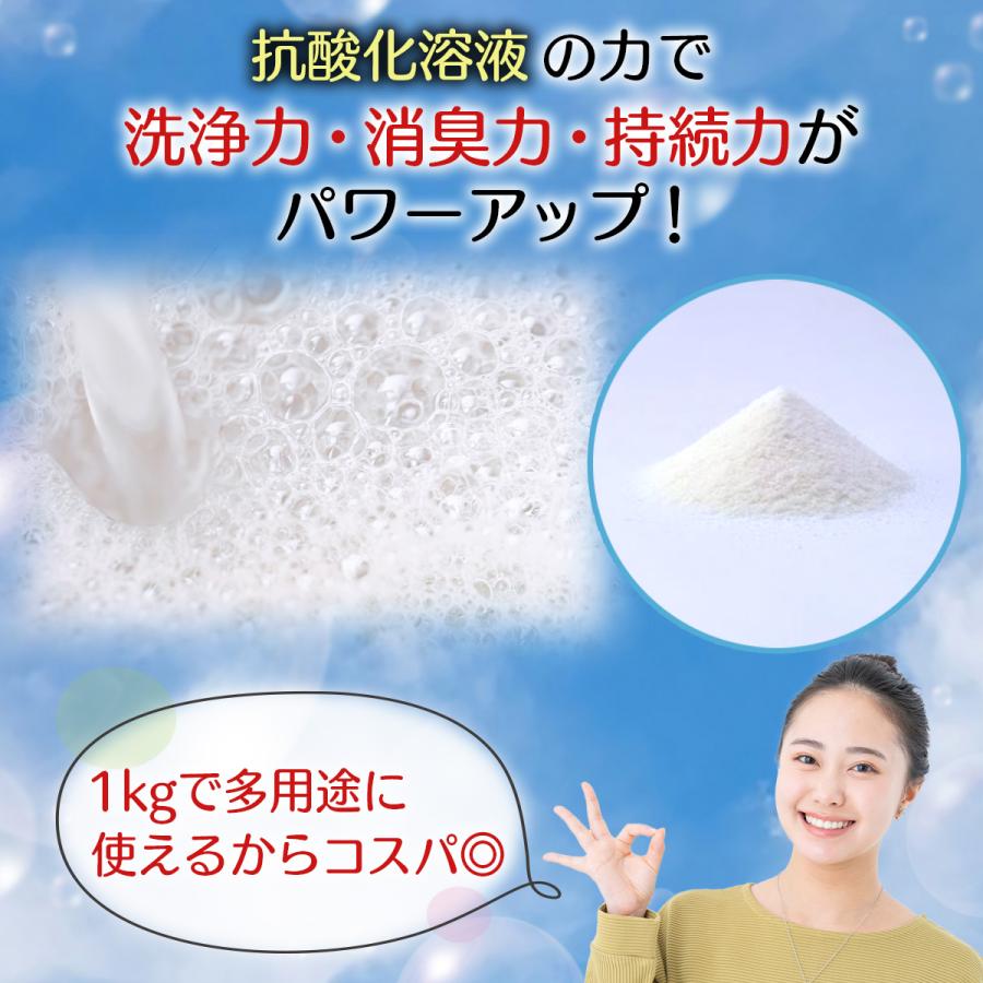 Pure Soap si・emina 99 1kg えみな 純石鹸分99% emina99 粉石けん 純