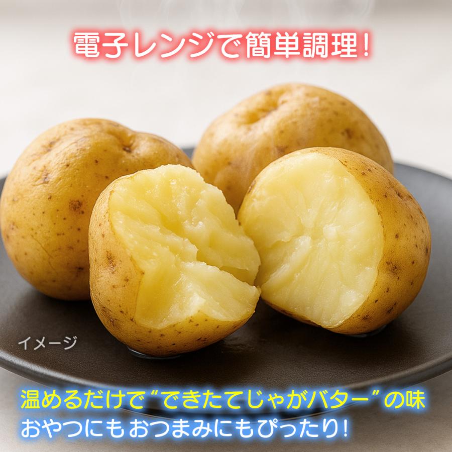北海道産 じゃがバター バタじゃが 5個入 2袋セット 無添加 国産 真空
