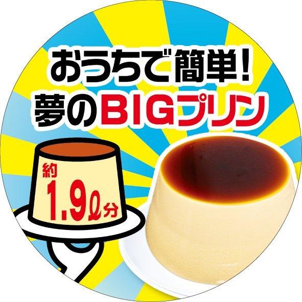 KINGプリン おうちで簡単！ 王様のプリン キングプリン バケツで作る 巨大プリン｜es-united｜03