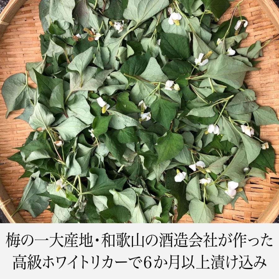 紀州産 どくだみエキス 100mL 和歌山県産 無農薬 有機栽培 オーガニック ドクダミ チンキ 十薬 虫除け 入浴剤 国産|es-united|03