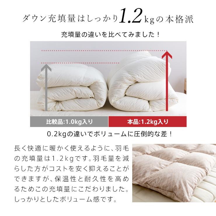 羽毛布団 洗える シングル 冬用 ランドリッシュ ホワイトダック90