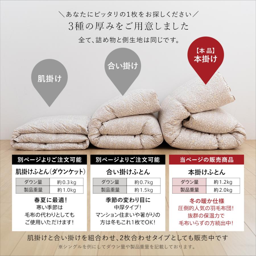 西川（nishikawa） 洗える 羽毛布団 ダブル ホワイトダウン93％ 400dp
