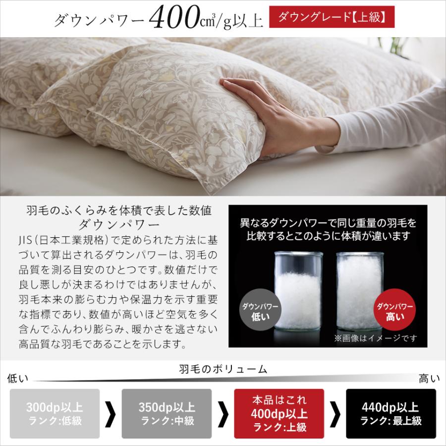 西川（nishikawa） 洗える 羽毛布団 ダブル ホワイトダウン93％ 400dp