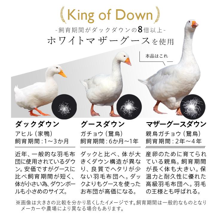 西川 マザーグース 羽毛布団 セミダブル 布団カバー付 マザー 西川 マザーグース 羽毛布団 セミダブル 布団カバー付 マザー