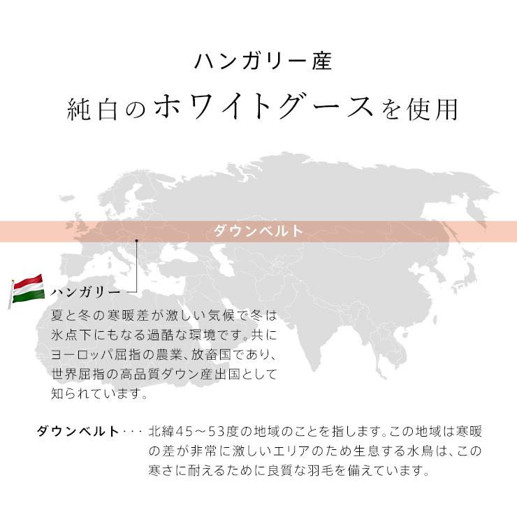 ハンガリーグース 羽毛肌掛け布団 ダウンケット グース 洗える ハンガリー産 ホワイトグースダウン93％ ウォッシャブル シングル 超長綿 羽毛布団 日本製｜esaki210y｜05