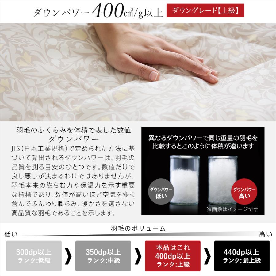 ダウン93％ 羽毛肌掛け布団 DP400 ダウンケット 洗える ウォッシャブル