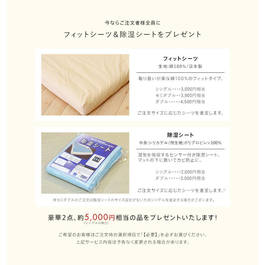 ロマンス小杉 豪華2特典＆P10倍 ロマンスエコー ダブル 硬さが自慢の四