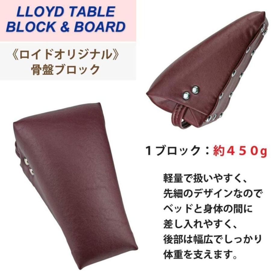 LLOYD (ロイド) オリジナル 骨盤ブロック ２個 先細タイプ 後部ストラップ付【アメリカ製】の画像