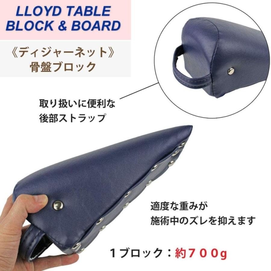 LLOYD (ロイド) ディジャーネット 骨盤ブロック 2個 三角
