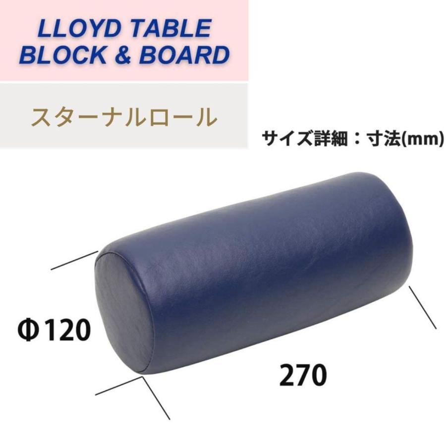LLOYD (ロイド) スターナルロール 胸部の圧迫防止 寝姿勢のサポート