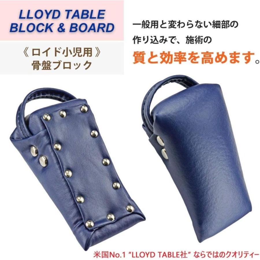 LLOYD (ロイド) 小児用骨盤ブロック 2個 三角ブロック 子供用 後部